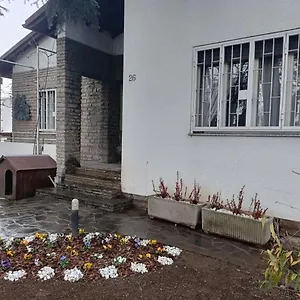 Bam Bam Bérgamo